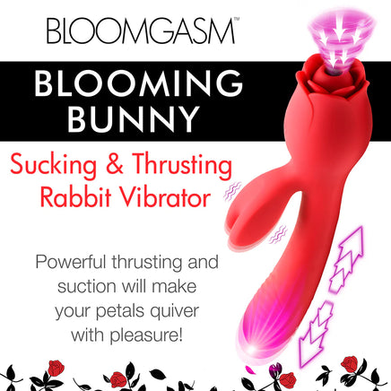 A Rose Toy with a rabbit Vibrator