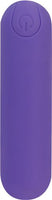 The Unrelenting Travel Bullet Vibrator With Case