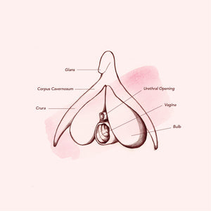 5 Things You Didn't Know About The Clitoris