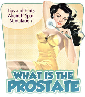 What Is the Prostate and How Do I Find It?
