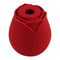 Vibrators.com lifestyle