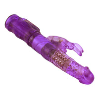 Petite Purple Jack Rabbit 